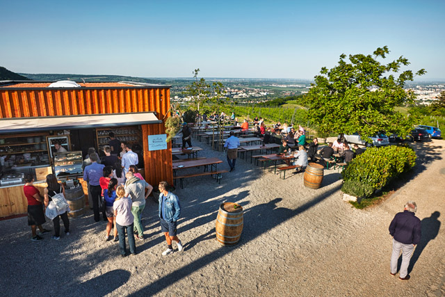 Weingut Wieninger