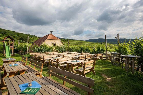 Weingut Höllmüller GebR